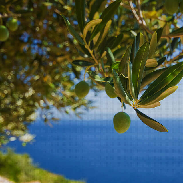 神楽坂パッケージメイン画像1枚目